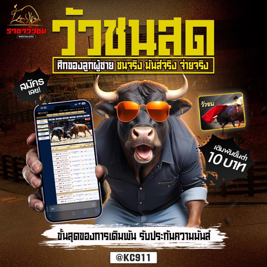 วัวชนออนไลน์ 25-10-2567