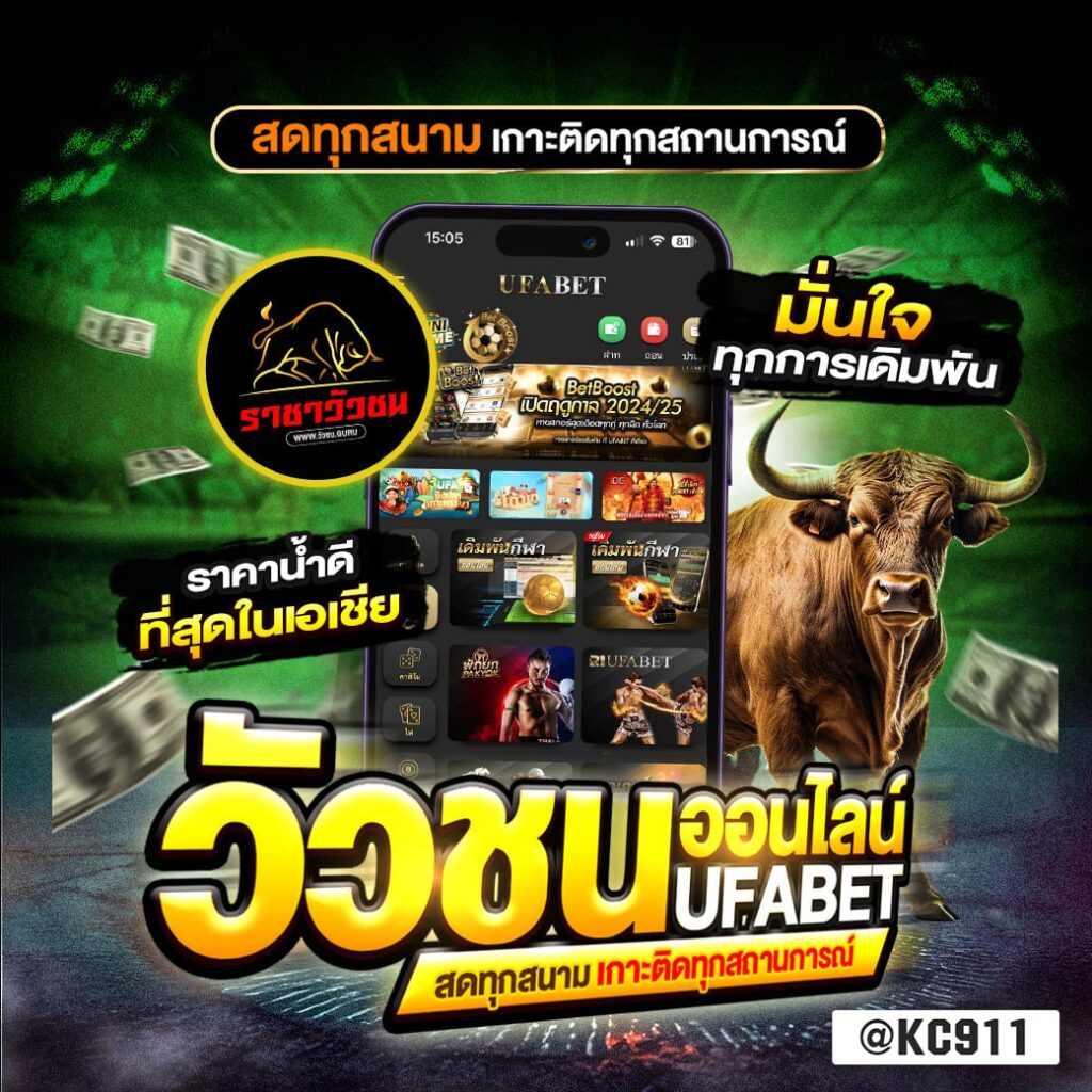 วัวชนออนไลน์ 28-10-2567