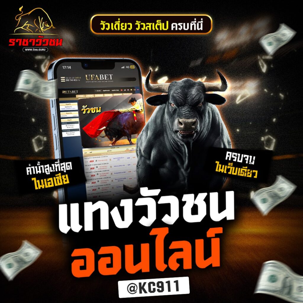 วัวชนออนไลน์ 30-9-2567