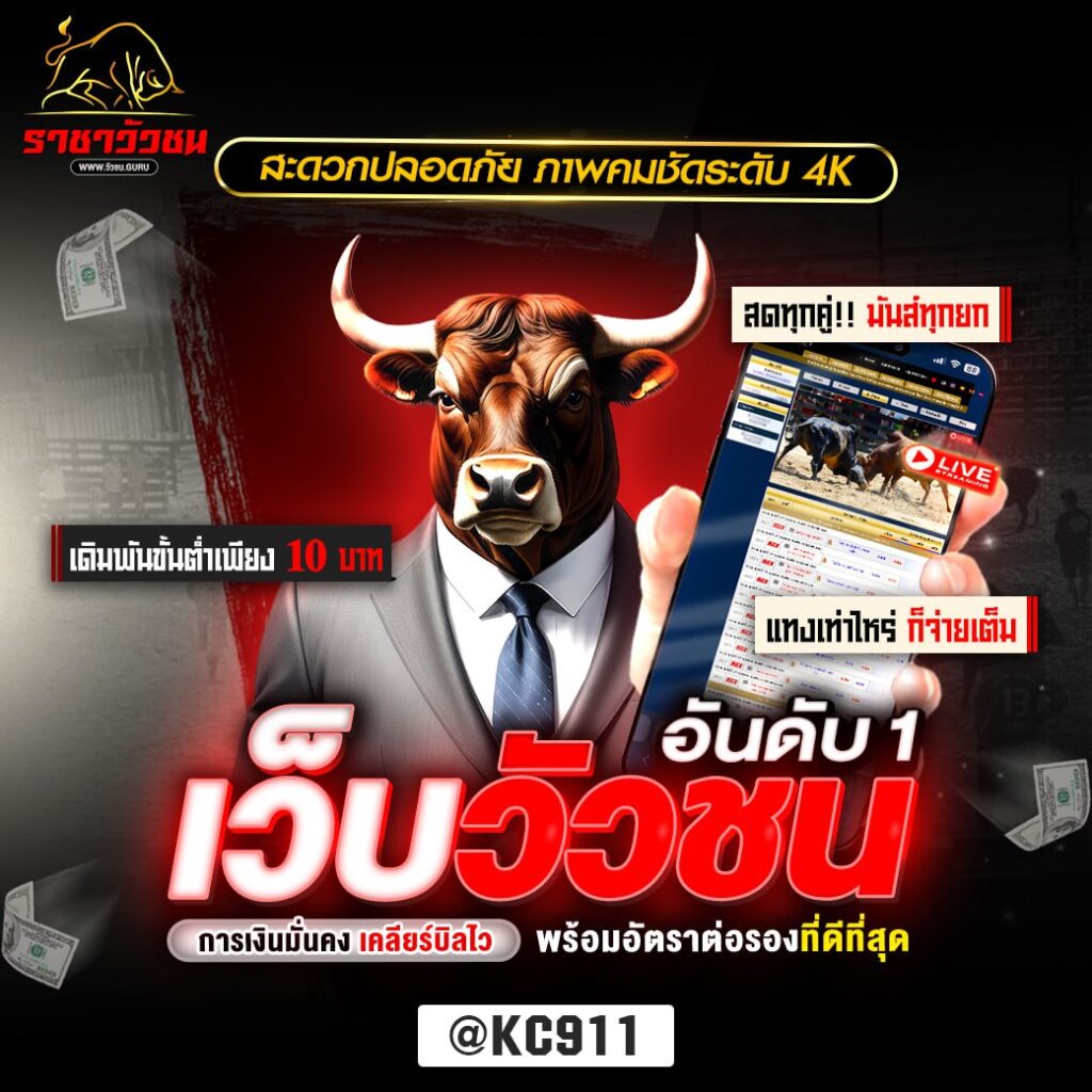 วัวชนออนไลน์ 27-9-2567