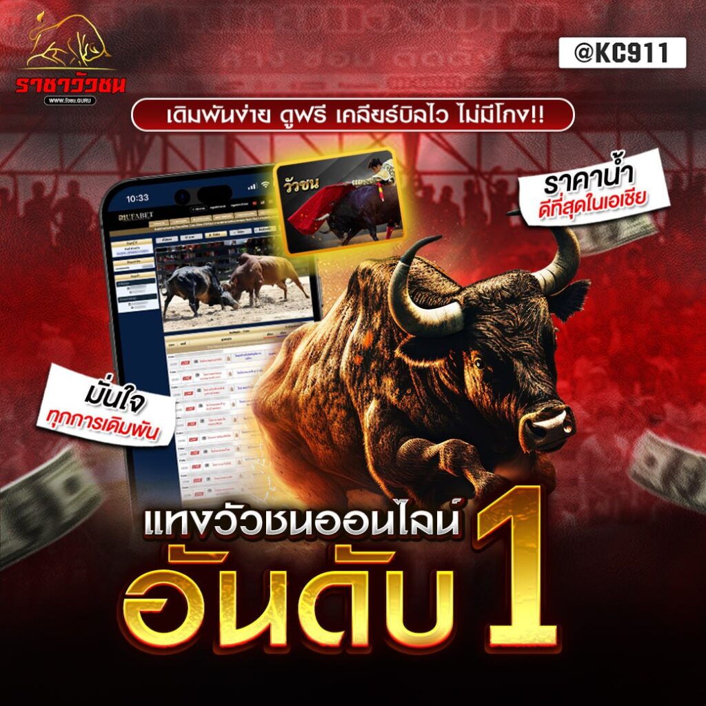 วัวชนออนไลน์ 5-11-2567