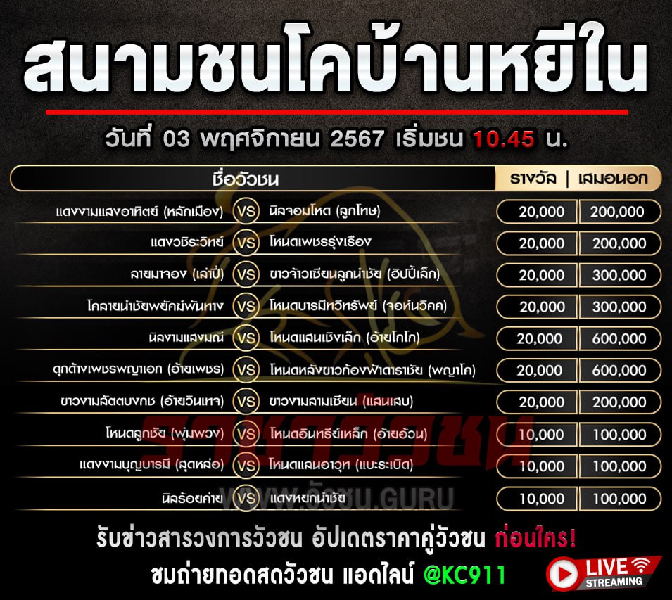 โปรแกรมวัวชน 3-11-2567