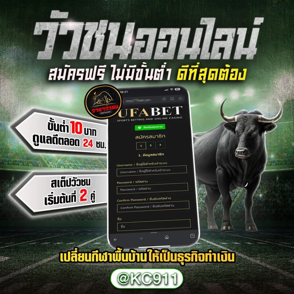 วัวชนออนไลน์ 3-11-2567