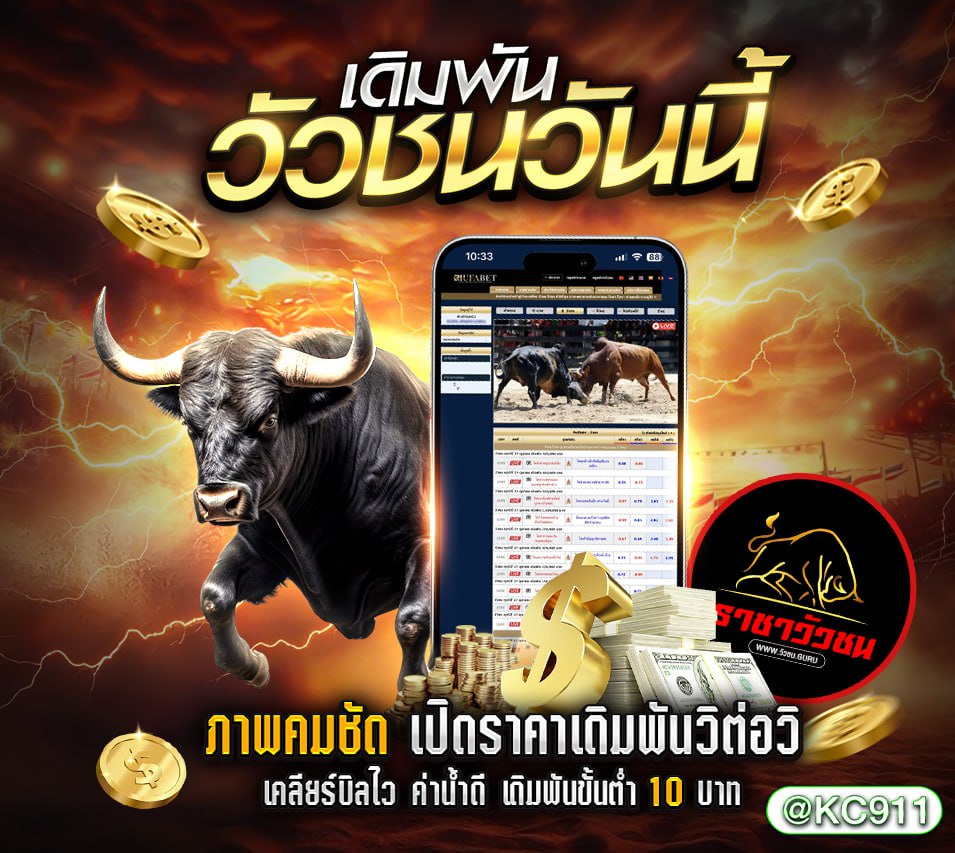 วัวชนออนไลน์ 4-11-2567