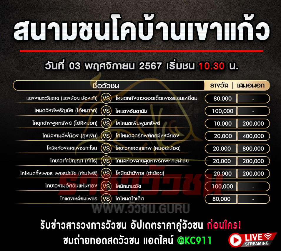 โปรแกรมวัวชน 03-11-2567