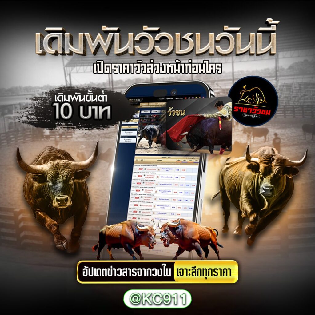 วัวชนออนไลน์ 9-11-2567