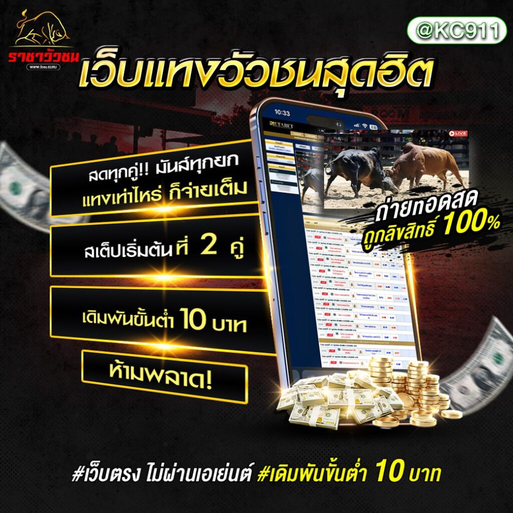 วัวชนออนไลน์ 7-11-2567