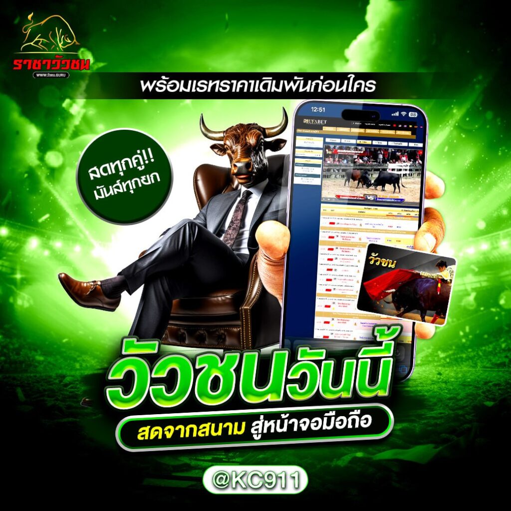 วัวชนออนไลน์ 6-11-2567