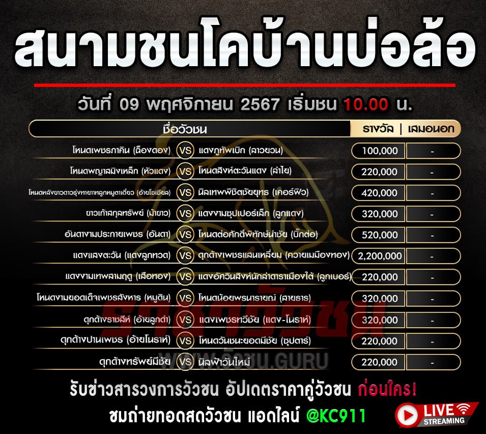 วัวชนออนไลน์ 9-11-2567