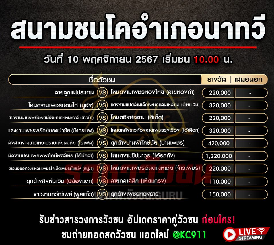 โปรแกรมวัวชน 10-11-2567