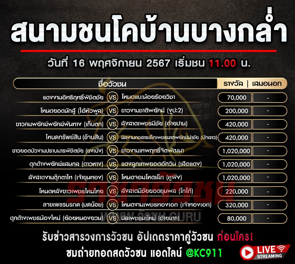 โปรแกรมวัวชน 16-11-2567
