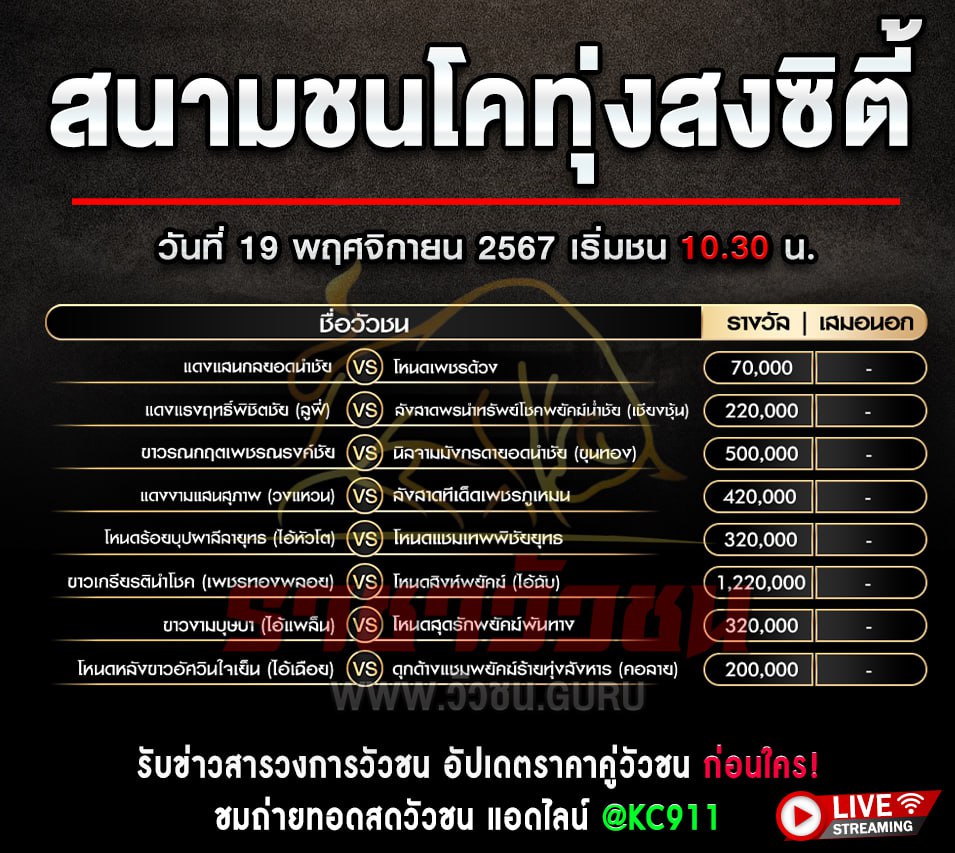 โปรแกรมวัวชน 19-11-2567