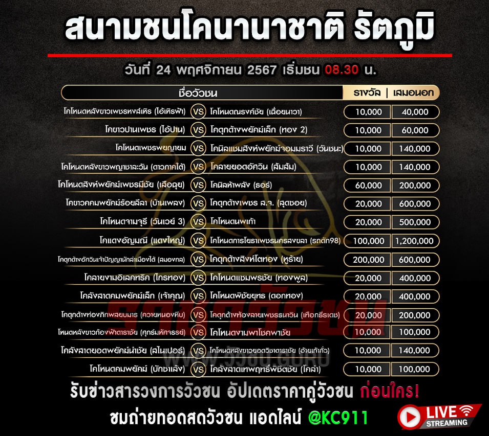 โปรแกรมวัวชน 24-11-2567