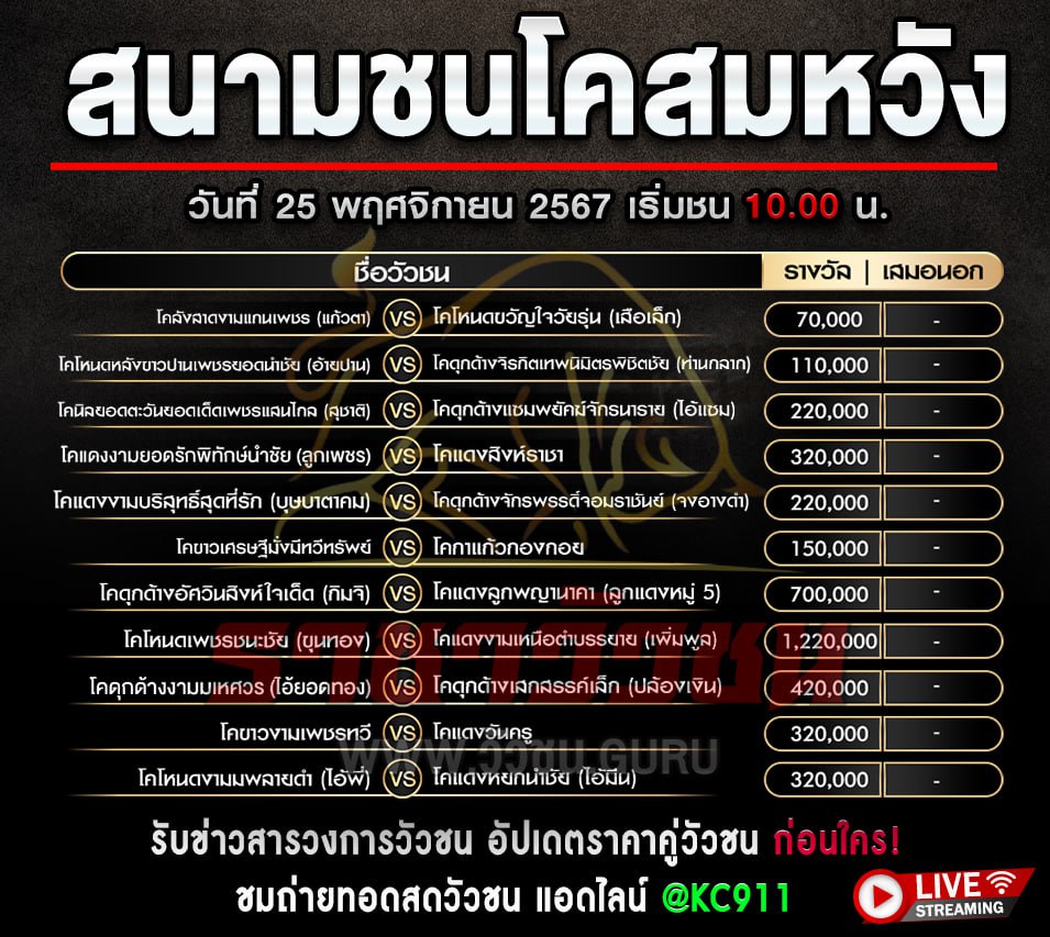 โปรแกรมวัวชน 25-11-2567