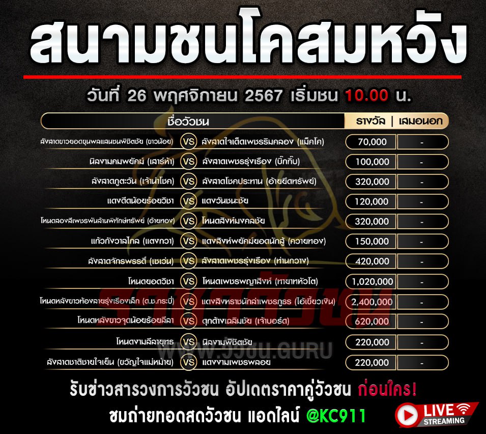 โปรแกรมวัวชน 26-11-2567
