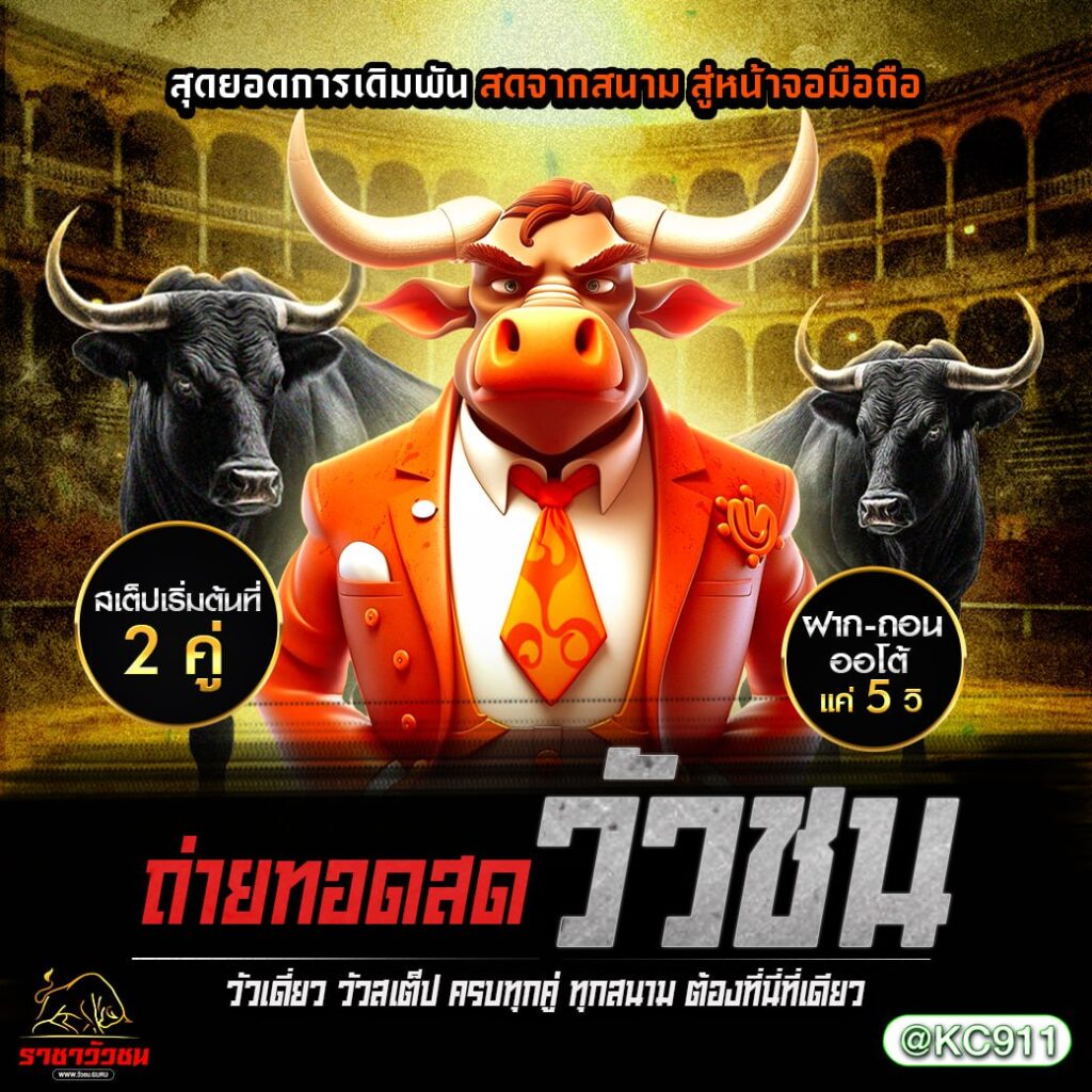 วัวชนออนไลน์ 25-11-2567