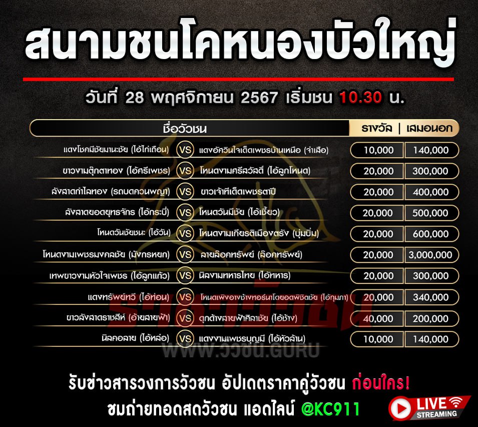 โปรแกรมวัวชน 28-11-2567