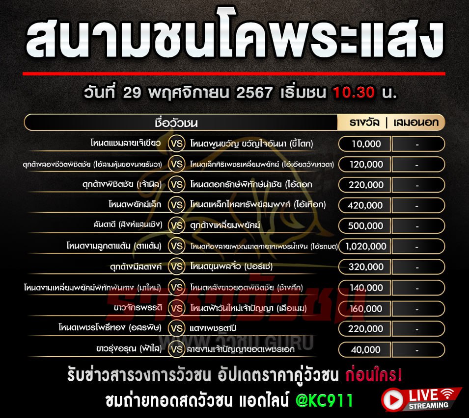 โปรแกรมวัวชน 29-11-2567
