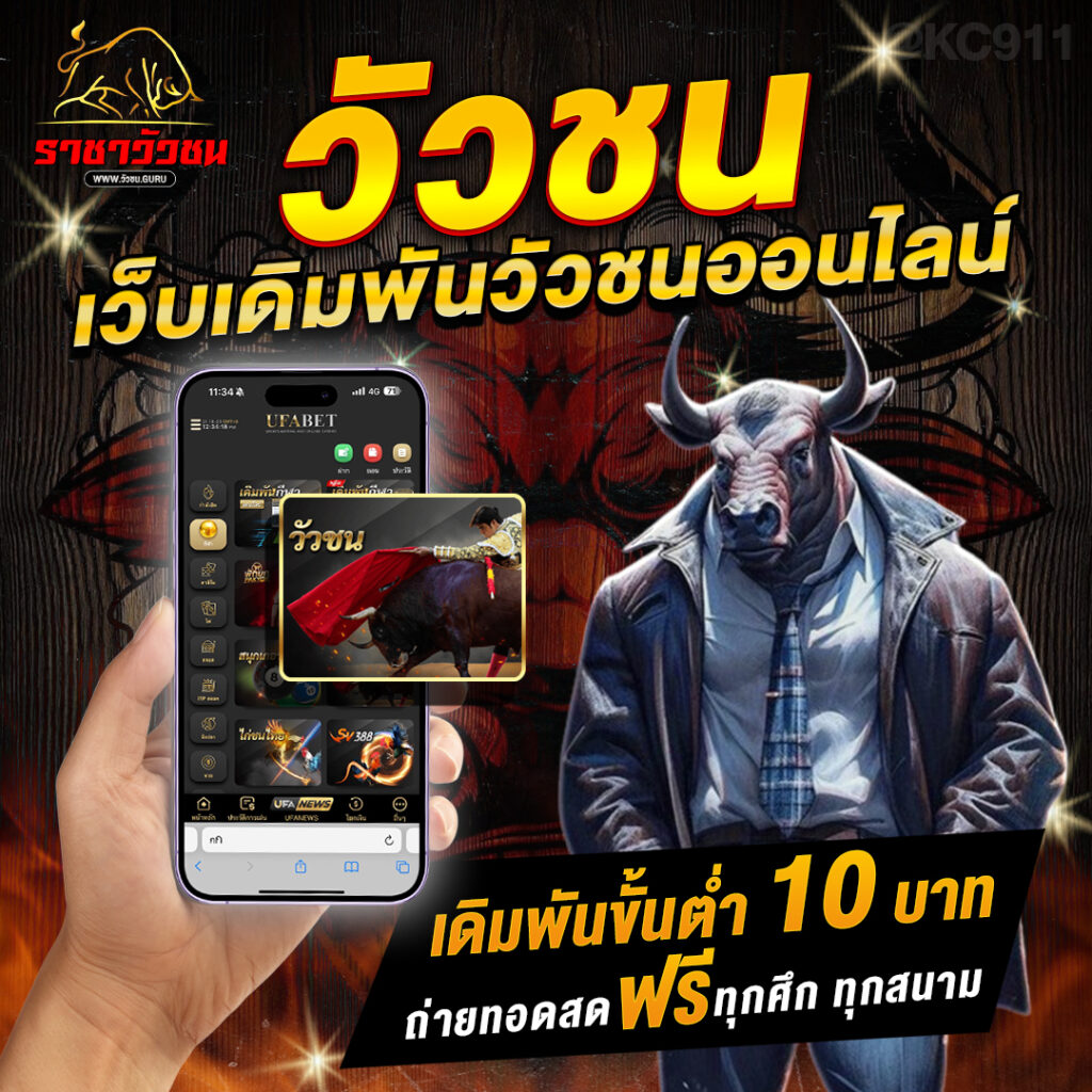 วัวชนออนไลน์ 13-11-2567