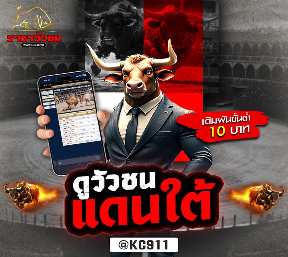 วัวชนออนไลน์ 2-11-2567