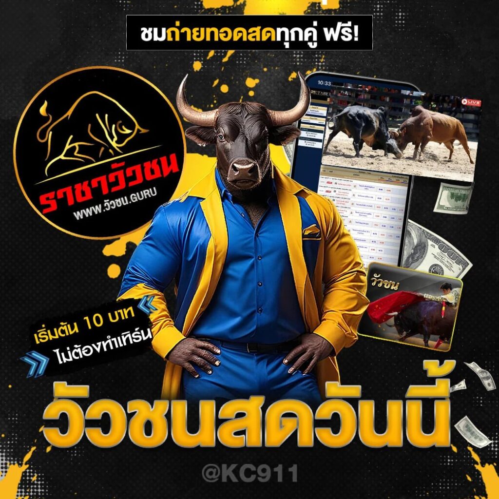 วัวชนออนไลน์ 4-12-2567