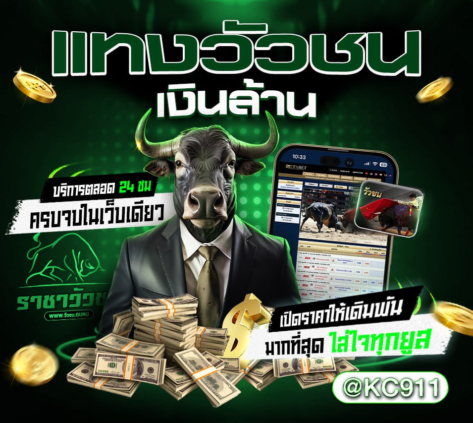 วัวชนออนไลน์ 29-11-2567