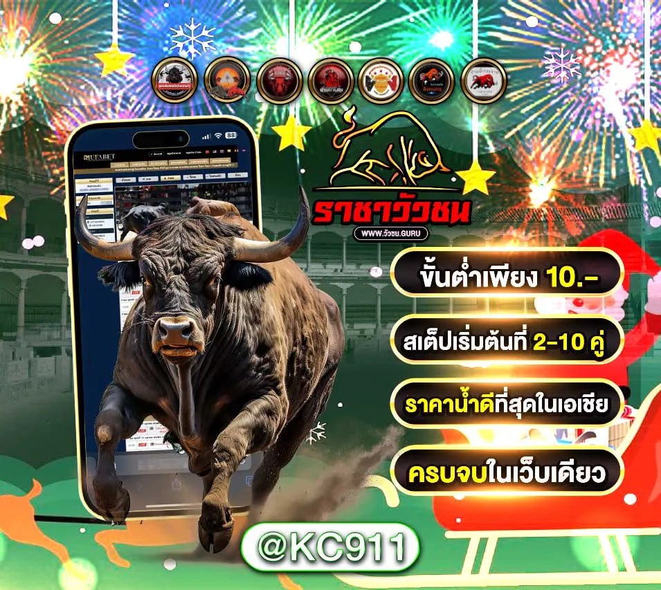 วัวชนออนไลน์ 12-12-2567