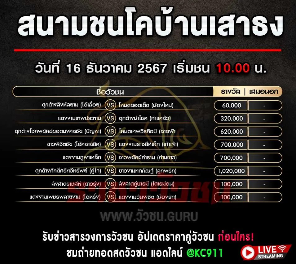 โปรแกรมวัวชน 16-12-2567