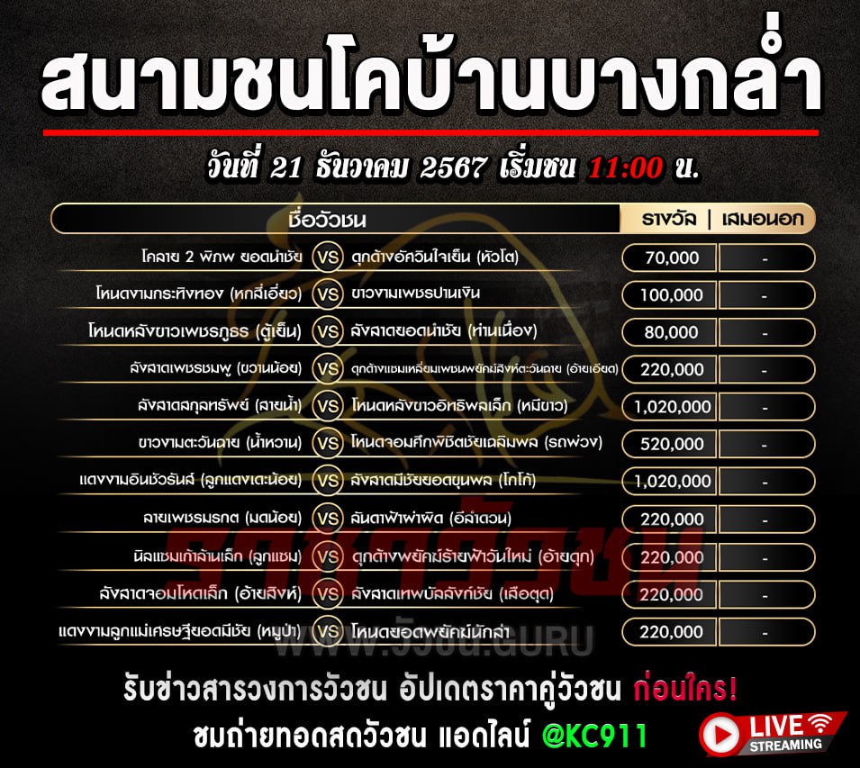 โปรแกรมวัวชน 21-12-2567