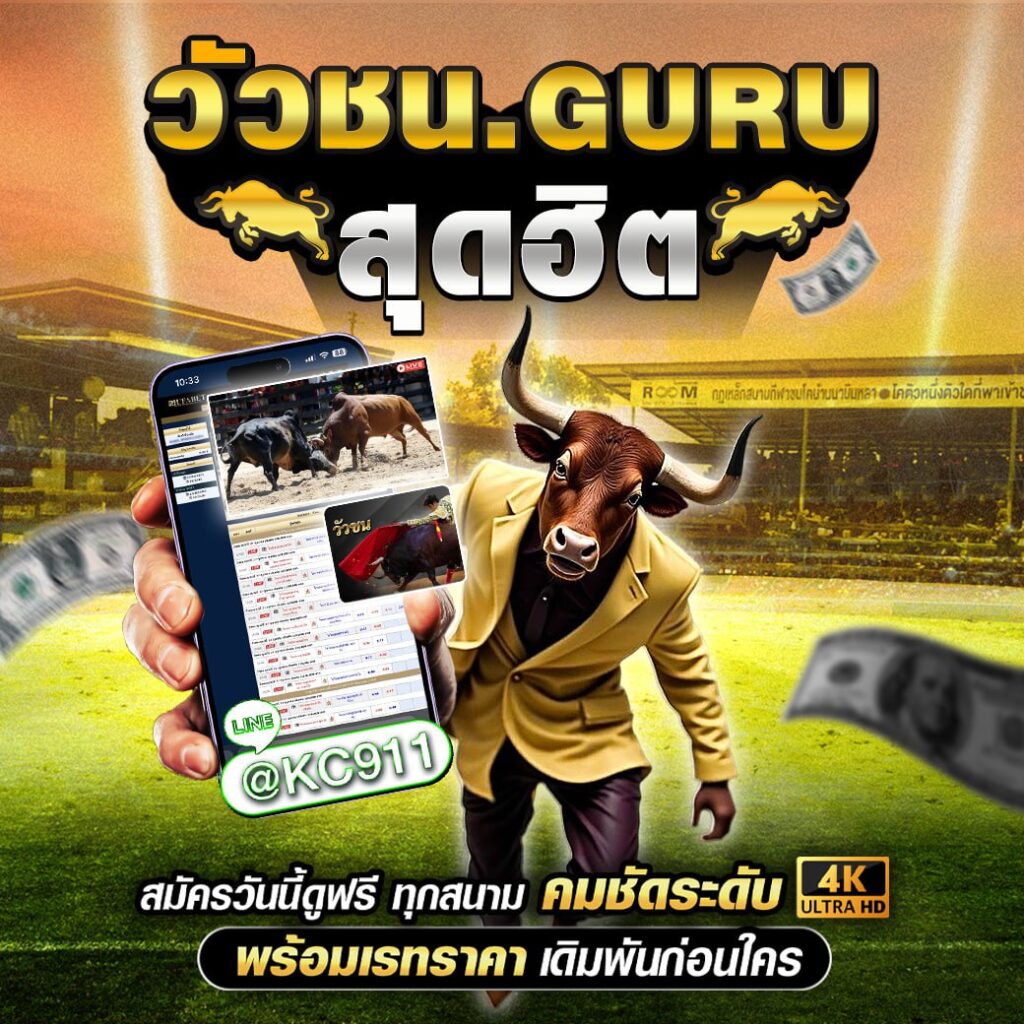 วัวชนออนไลน์ 23-12-2567