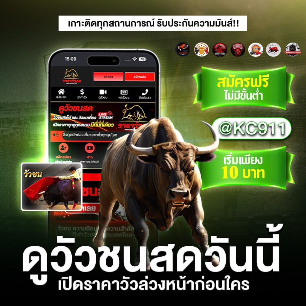 วัวชนออนไลน์ 27-12-2567