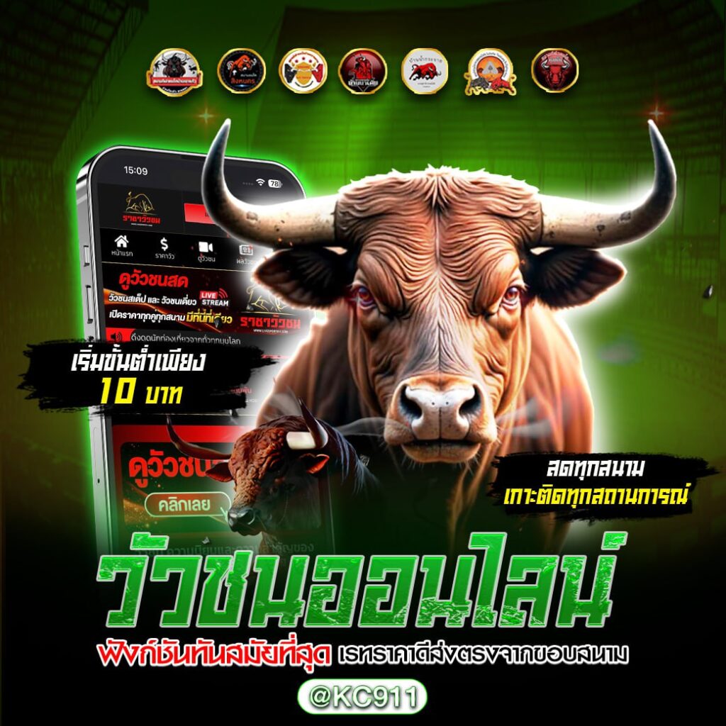 วัวชนออนไลน์ 28-12-2567