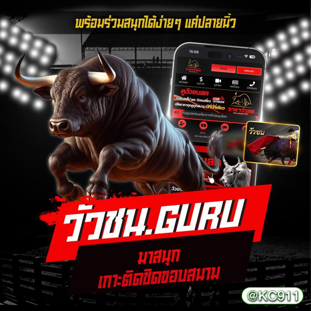 วัวชนออนไลน์ 29-12-2567