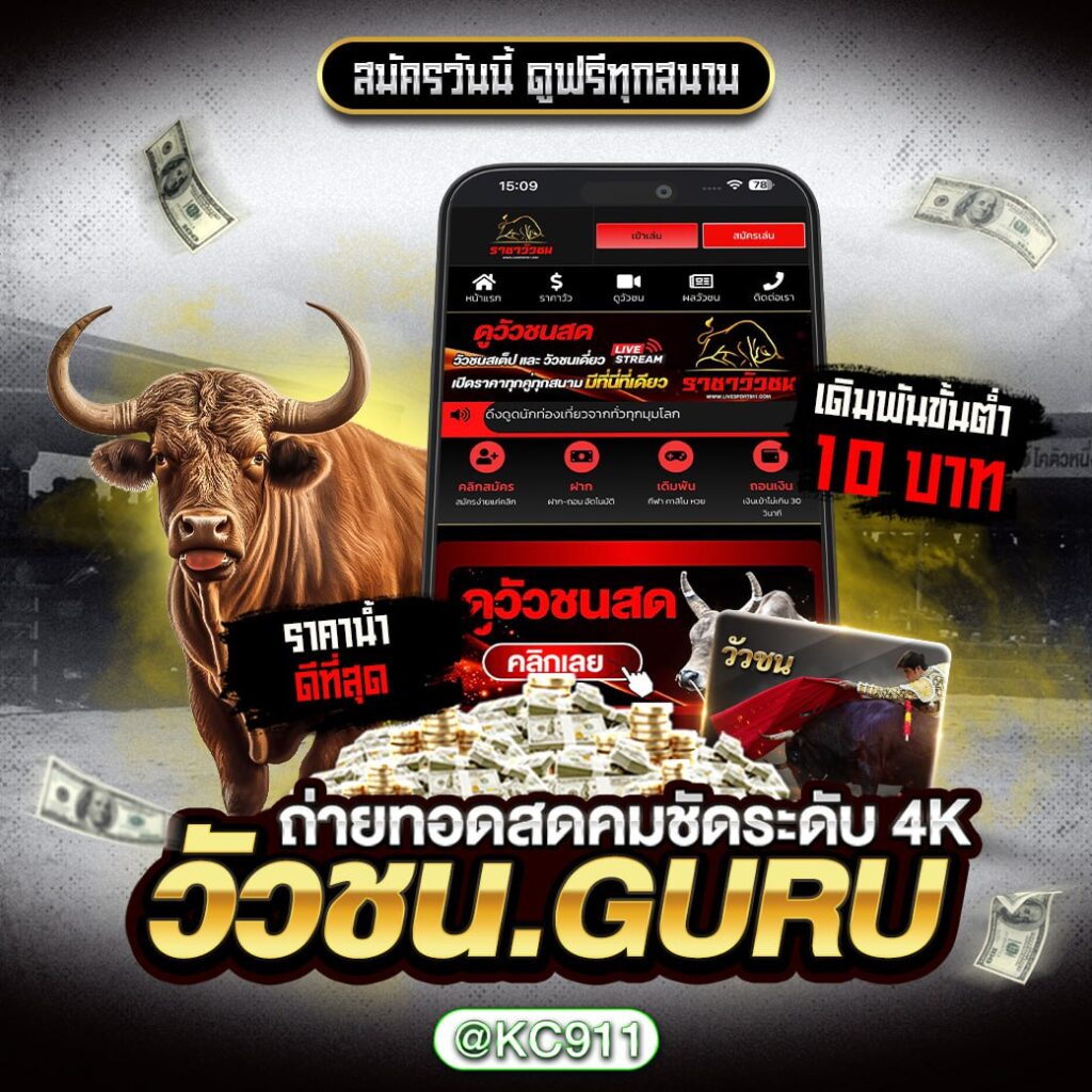 วัวชนออนไลน์ 30-12-2567