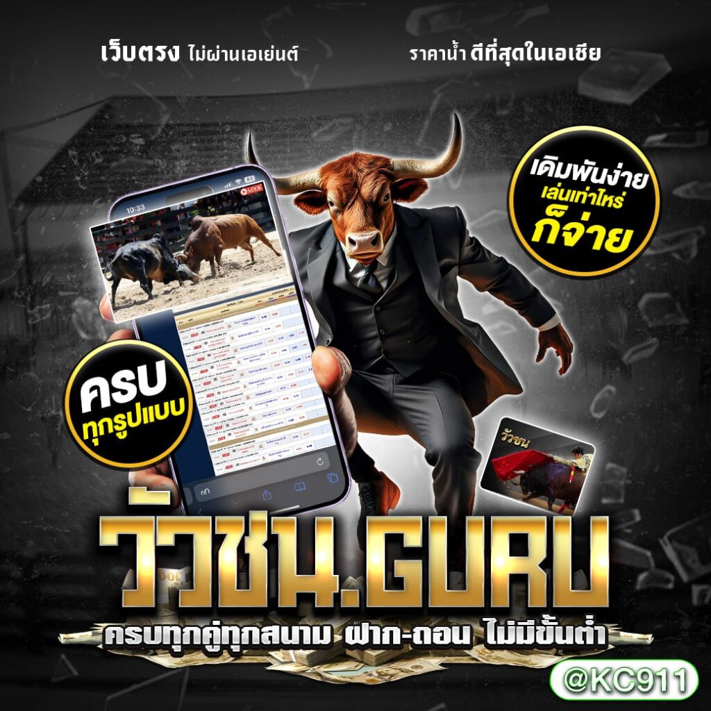 วัวชนออนไลน์ 31-12-2567