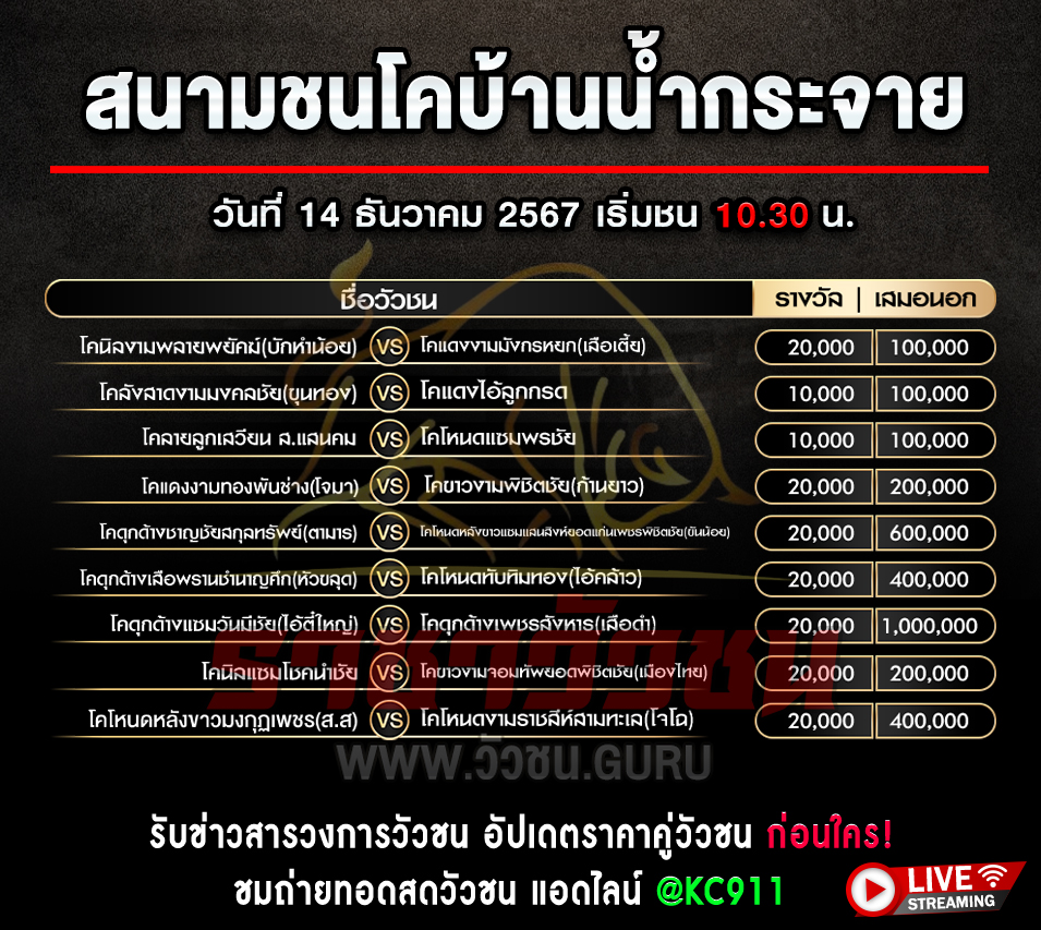 โปรแกรมวัวชน 14-12-2567