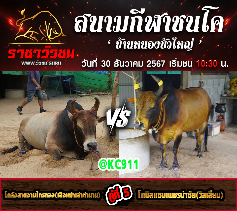 โปรแกรมวัวชน 30-12-2567