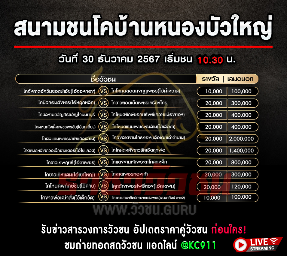 โปรแกรมวัวชน 30-12-2567