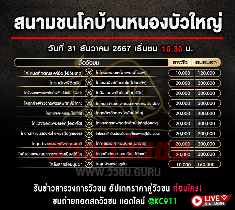 โปรแกรมวัวชน 31-12-2567