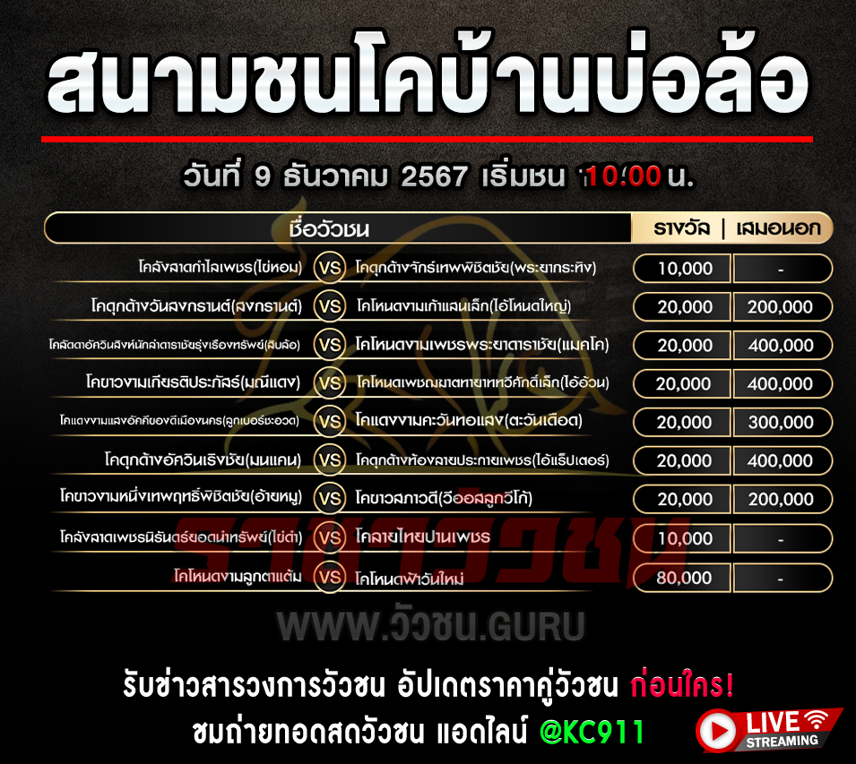 โปรแกรวัวชน 9-12-2567