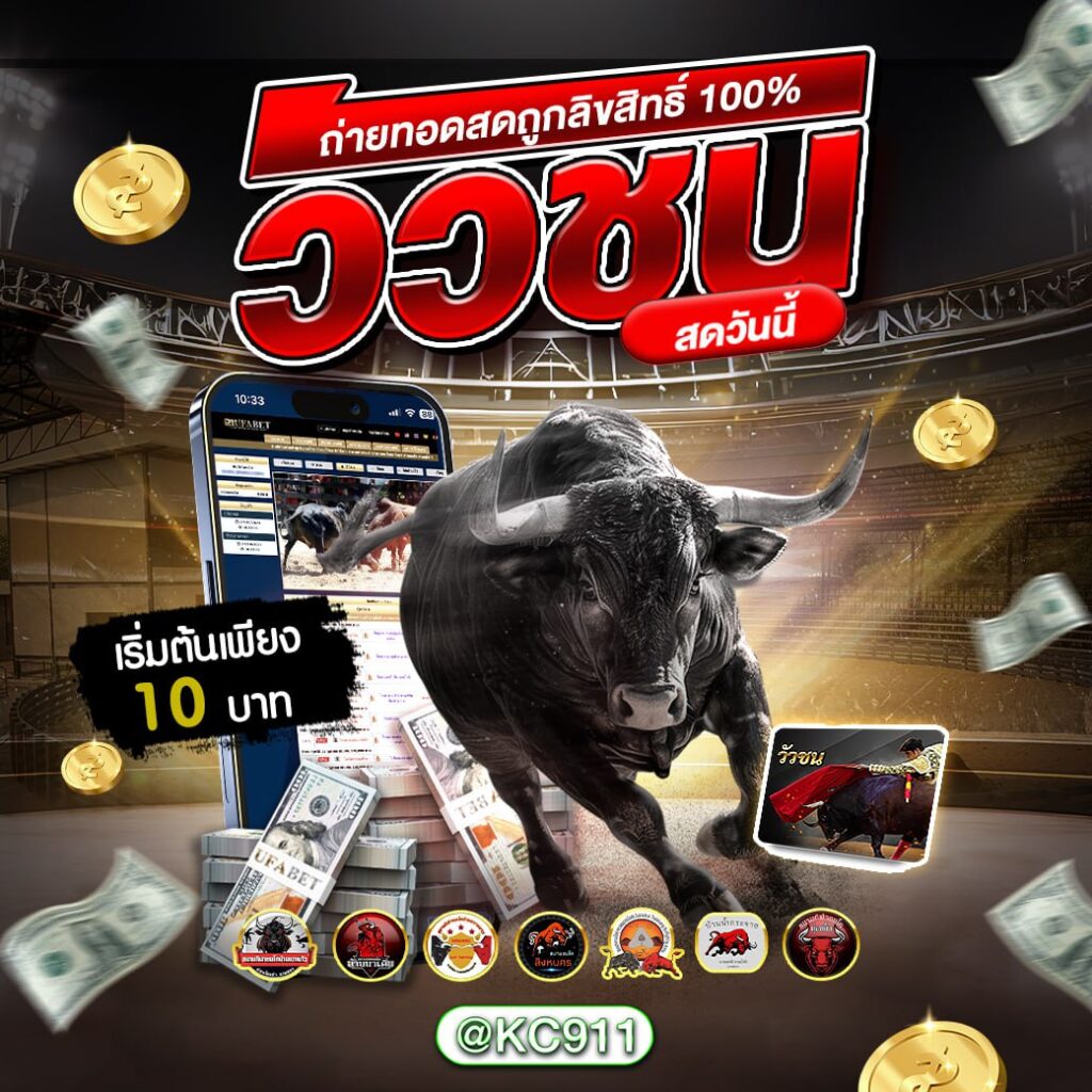 วัวชนออนไลน์ 8-01-2568