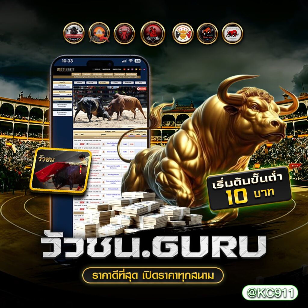 วัวชนออนไลน์ 9-01-2568