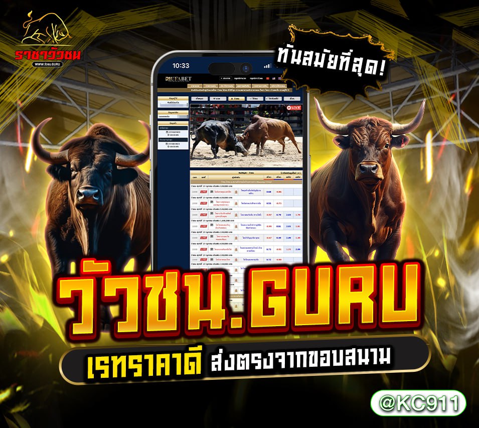 วัวชนออนไลน์ 13-01-2568