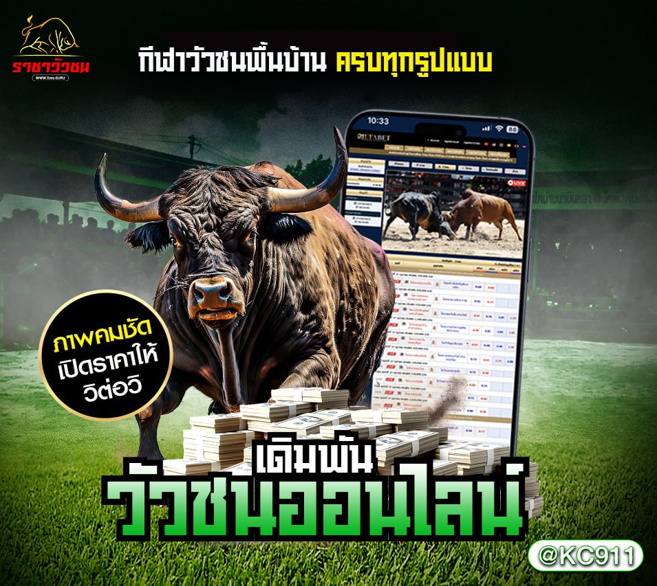 วัวชนออนไลน์ 13-01-2568