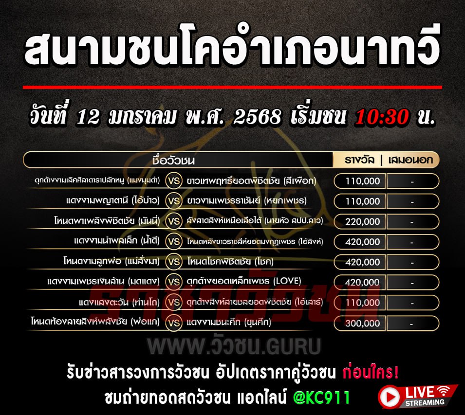 โปรแกรมวัวชน 12-1-2568