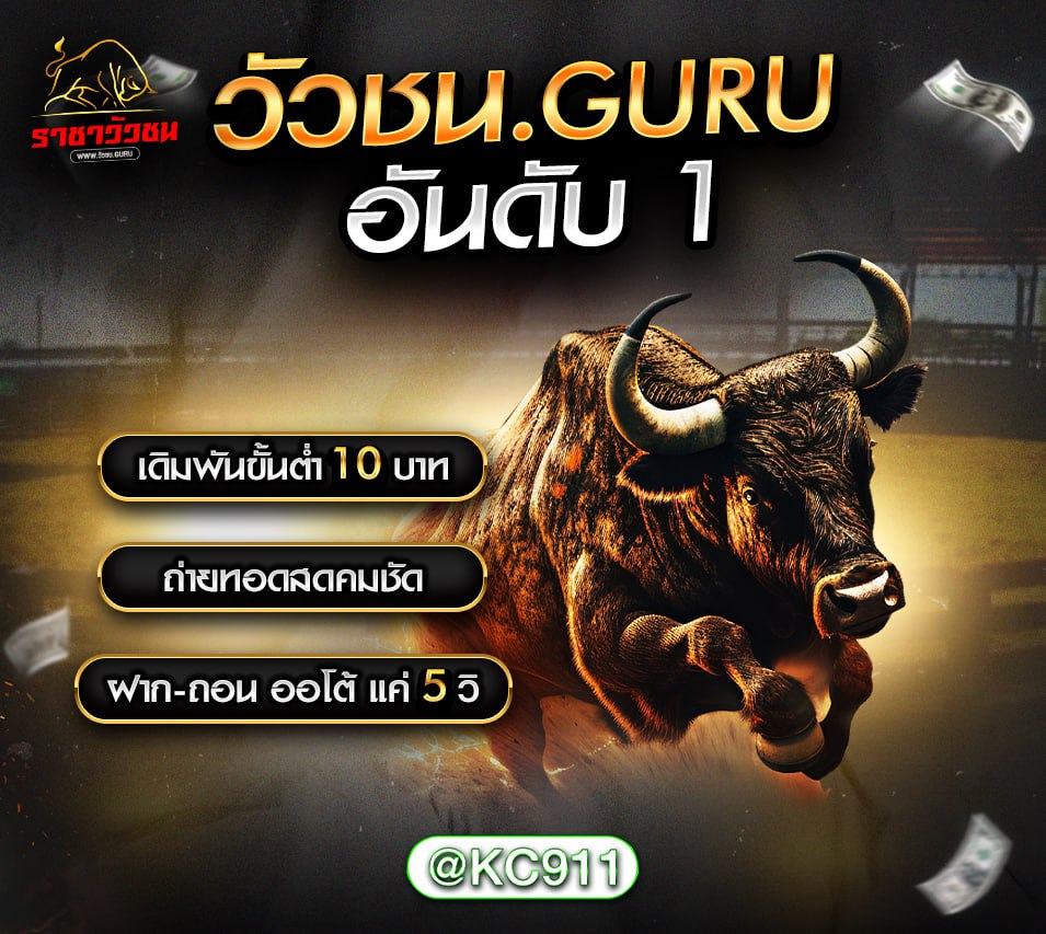 วัวชนออนไลน์ 15-01-2568