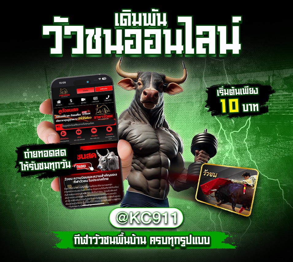 วัวชนออนไลน์ 16-01-2568