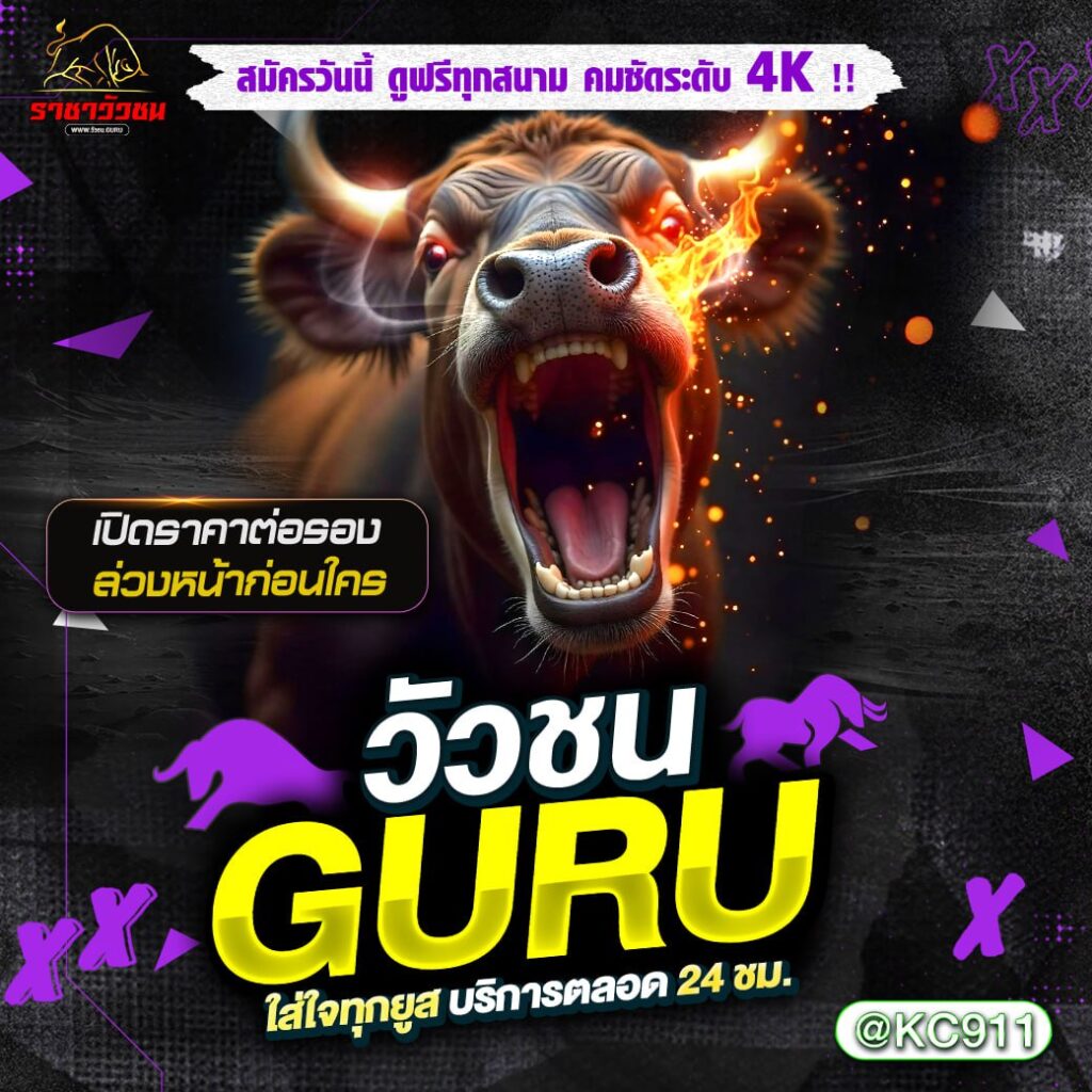 วัวชนออนไลน์ 12-01-2568