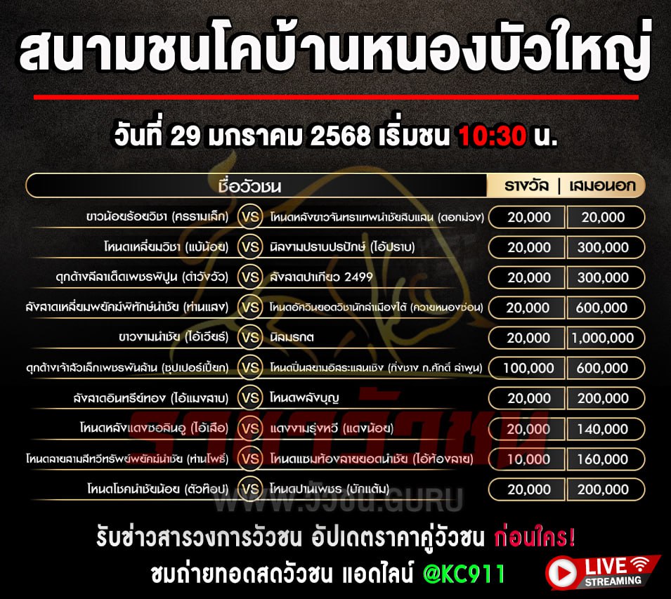 โปรแกรมวัวชน 29-1-2568