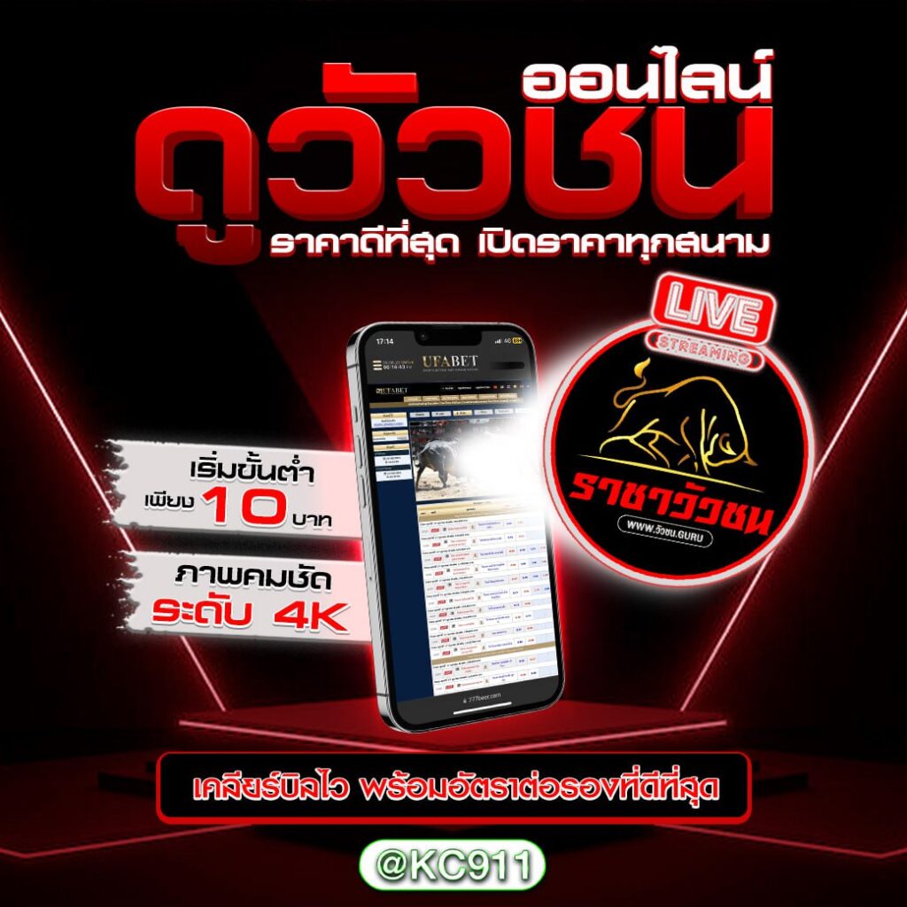 วัวชนออนไลน์ 5-01-2568